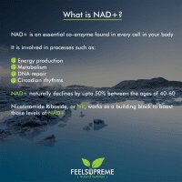 NR with Astaxanthin | NAD+ Booster